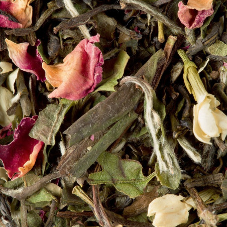 BALI BLANC