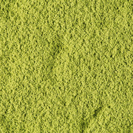 THE MATCHA