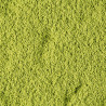 THE MATCHA