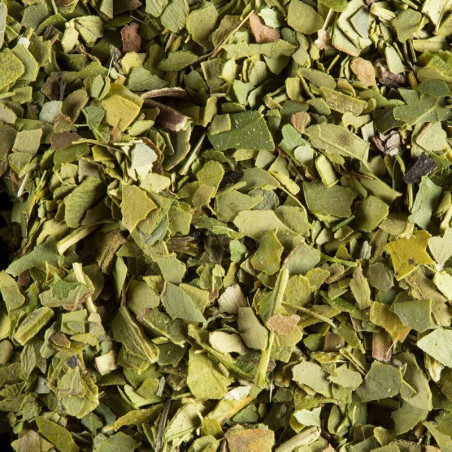 MATE VERT