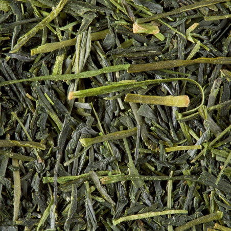 SENCHA TENSU