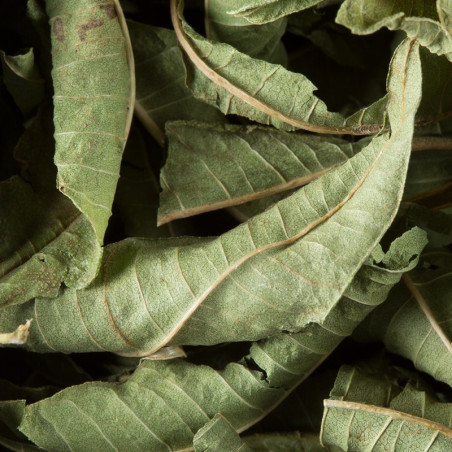 VERVEINE, 24 SACHETS CRISTAL® SUREMBALLÉS