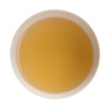 JARDIN VERT