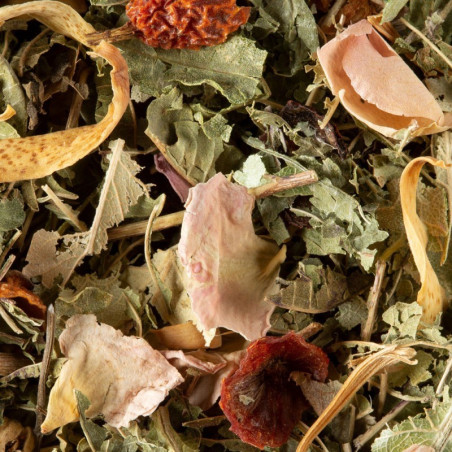 TISANE NUIT À VERSAILLES - 25 SACHETS CRISTAL®