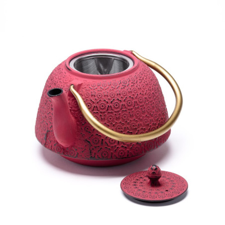 THÉIÈRE FONTE DE CHINE - HUASHU 1,3 L