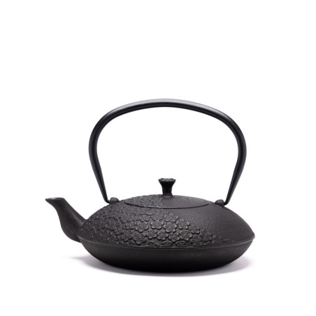 THÉIÈRE FONTE DE CHINE - TAO 1,1 L