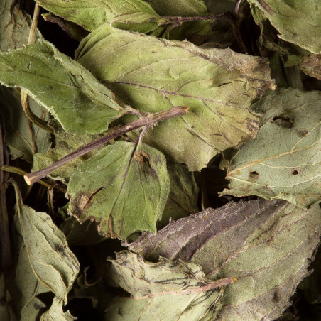 MENTHE POIVRÉE, 25 SACHETS CRISTAL ®