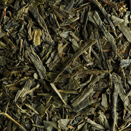 THÉ VERT SENCHA BIO, 24 SACHETS CRISTAL® ENVELOPPÉS