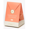 POCHETTE "LITTLE CHRISTMAS" - rooibos de Noël - 6 sachets