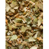 TILLEUL-25 SACHETS CRISTAL