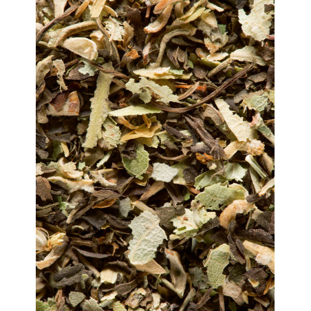 TILLEUL-MENTHE POIVRÉ-25 SACHETS CRISTAL