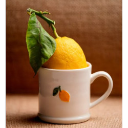 TASSE CITRON-200ml-DAMMANN
