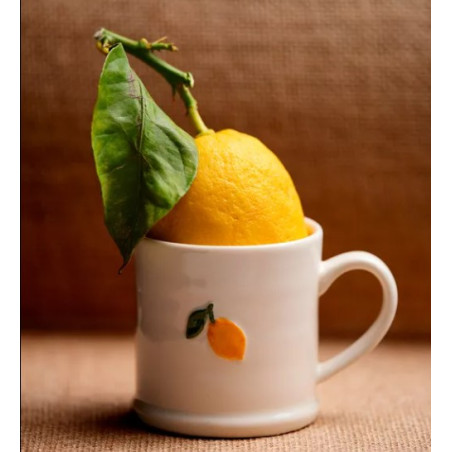 TASSE CITRON-200ml-DAMMANN